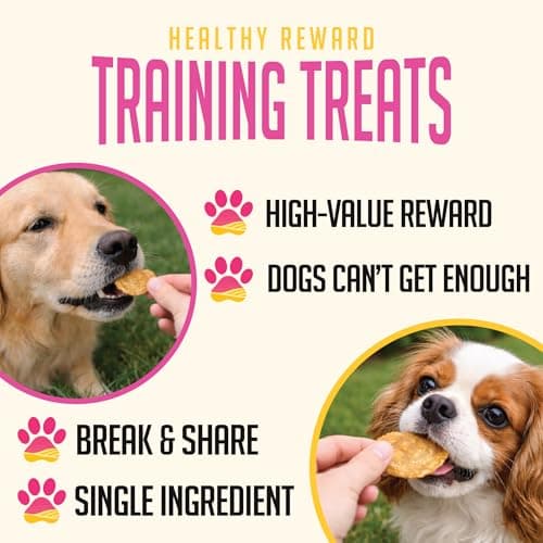 SitStay Chicken Chips for Dogs - Single Ingredient Dog Treat - High Protein, Low Fat - Chicken Chips Dog Treats for Training, Rewards & Sensitive Stomachs - Made in USA - 12 oz - Thumbnail 3
