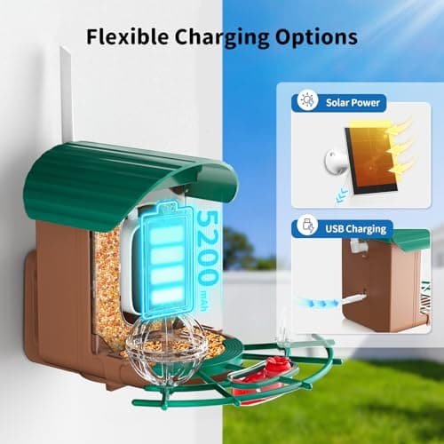 NIORSUN Smart Bird Feeder with Camera Solar Powered, 2K HD Video AI Recognition Feeder with Instant Notifications, Eagle Alarm, Infrared Night Vision, Ideal Gift for Family and Bird Lovers, Green - Thumbnail 5