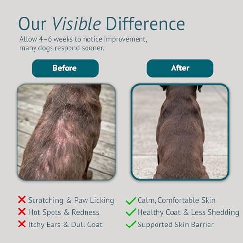 Dog Allergy Chews for Itchy Skin, Hot Spots, Paw Licking Relief & Itchy Ears – Quercetin, Turmeric, Probiotics & Colostrum – Made in USA – 60 Count - Thumbnail 5