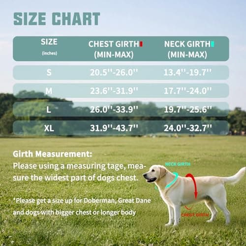 AUROTH Dog Harness and Leash Set, Soft Padded Service Dog Vest with 5.25FT Dog Leash, No Choke, Easy On Pet Vest, Adjustable Reflective No Pull Dog Harness for Large Dogs, Easy Walking and Training - Thumbnail 6