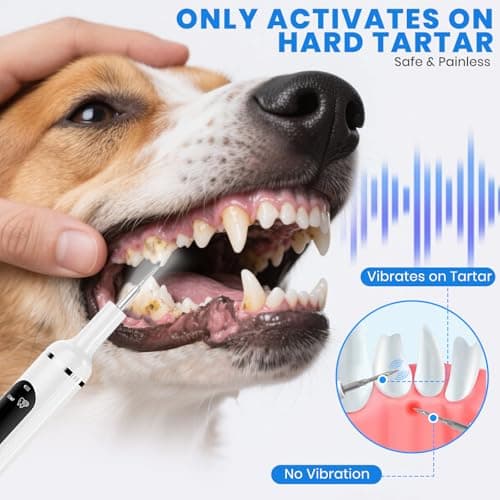 PATWING Dog Plaque Remover for Teeth,Pet Tooth Cleaner with LED Light,Cleaning Kit for Tartar and Stains,5 Adjustable Modes,Pet Teeth Cleaning kit,Suitable for Dogs and Cats (White) - Thumbnail 2