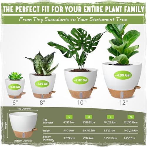 Self-Watering Pots for Indoor Plants 4 Pack, 6/8/10/12 Inch Outdoor Planters with Water Level Indicator&Deep Reservoir, Decorative Flower Pots for Indoor Plants,Home Decor (White, 12+10+8+6 inch) - Thumbnail 2