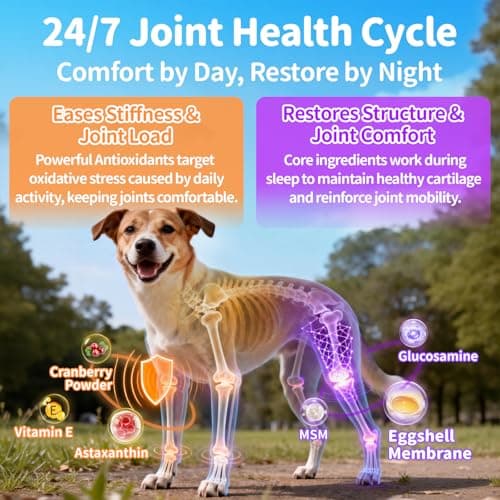 POPPAW Dog Multivitamin Powder, Day & Night 2-Pack, Dog Vitamins and Supplements for Homemade Food, Joint, Gut, Calm, Immune Support, L-Carnitine, Glucosamine, Probiotics, Beef Flavor, 150 Scoops - Thumbnail 5