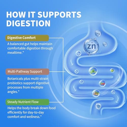 Gut Health Supplement w/Berberine,Garcinia Cambogia,Bitter Melon,Green Coffee, Probiotics, Prebiotics -Supports Digestion, Detox, Energy & Immune Health for Women & Men, 60 Vegan Capsules - Thumbnail 5