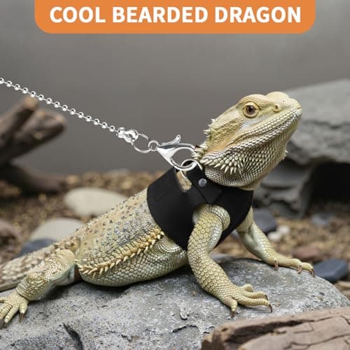 VOXGET 3 Pack Bearded Dragon Leash and Harness Set for Small Animals, 6.5FT Leash with 3 Sizes Adjustable Harness for Lizard Walking Adventure, Soft Vest Clothes for Squirrel Reptile Lovers -Black - Thumbnail 5