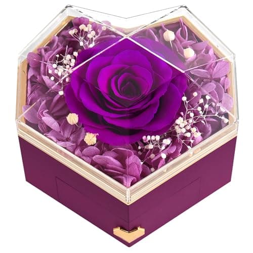 GOICC Forever Preserved Rose for Women Mum Wife Girlfriend Eternal Rose Flower Gift Box for Her Ideal for Valentines Day Mother's Gifts Birthday For Women Anniversary - Image 1