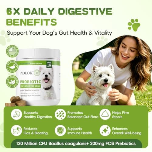 Probiotics for Dogs - 150 Soft Chew, Dog Probiotics for Digestive Health and Diarrhea, Allergies & Immune Support Dog Probiotic Supplement, Daily Probiotics for All Dogs, Natural Duck Flavor - Thumbnail 2