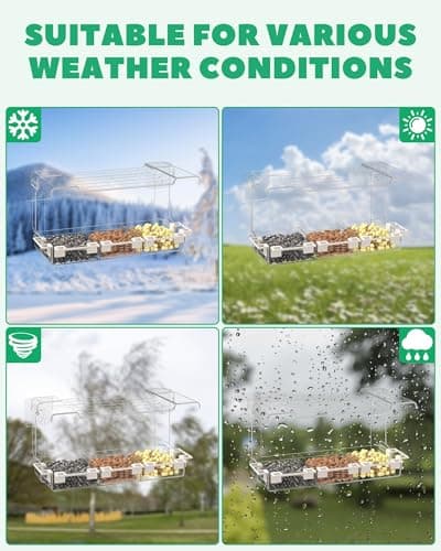 Clear Window Bird Feeder Outdoors - Bird Feeder for Viewing with 5 Perching Stands, Self-Adhesive Hooks, Drain Holes and Removable Tray, as a Birdhouse, Garden Decor - Thumbnail 6