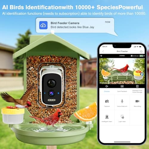 Smart Bird Feeder with Camera Solar Powered, AI Birds Species Identification, 2.5K HD Video Bird House with Camera for Outside, Weatherproof Design Ideal Gifts for Valentine's Day, Bird Lovers, Green - Thumbnail 5