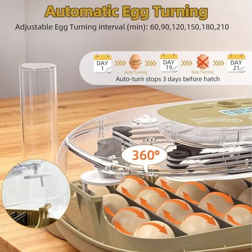 24 Incubators for Hatching Eggs, Egg Incubator with Humidity Control & Digital Temperature, Automatic Egg Turner, Hatch Day, Auto Water Refill, 360°Viewing for Chicken, Duck, Quail, Duck, Goose - Thumbnail 5