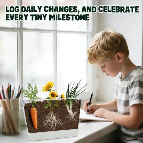 Large Root Viewer Kit for Kids STEM Science Toy Growing Kits for Ages 4, 5, 6, 7, 8, 9,10 Birthday Gifts for Boys Girls, DIY Set, Includes Strawberry, Eggplant, Dwarf Sunflower, Carrot, Pea, Scallion - Thumbnail 6