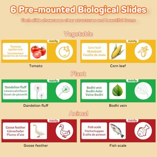 1000X Digital Handheld Microscope for Kids with 2.0" IPS Screen, Easter Gifts Portable STEM Science Lab Toy, Rechargeable Pocket Microscope Educational Gift for Boys & Girls Age 4-6 8-12, Orange - Thumbnail 4