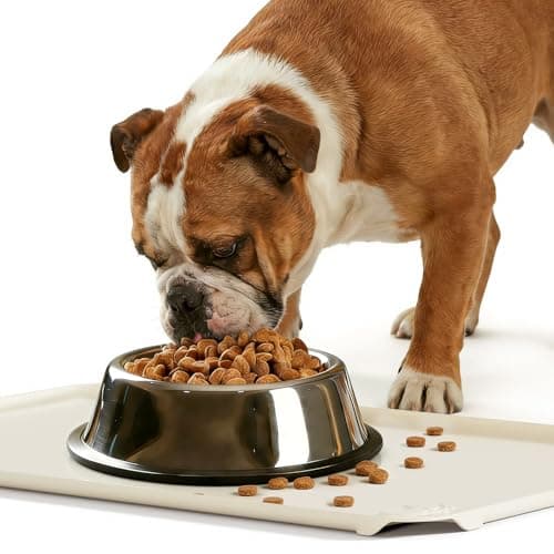 ESTHELLO Waterproof Pet Feeding Mats - Advanced Silicone Dog Food Mat Easy to Clean for Dog & Cat Bowls, 19''X12'' Cream White - Image 1