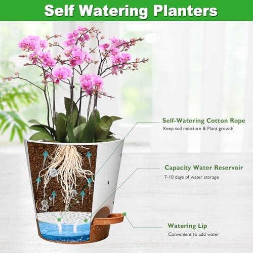 Vanslogreen Orchid Pots with Holes, 6 Inch Self Watering Orchid Pot 3 Pack Plastic Plant Pots for Orchid, Flower (Multicolor) - Thumbnail 3