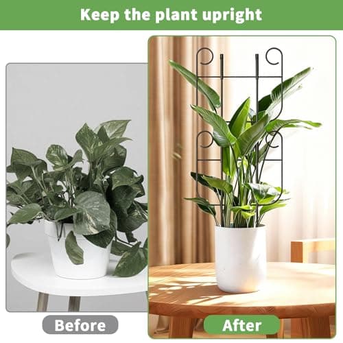 2 Pack Trellis for Climbing Plants Indoor, Expandable Small Metal Trellis for Potted Plants, Flowers Vine Ivy, Sturdy Houseplant Pothos Plant Climber Support - Thumbnail 5