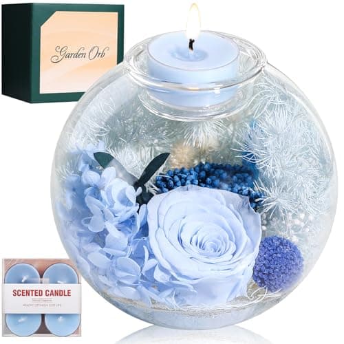 Valentines Day Flowers Roses Gifts for Her, Preserved Flowers Rose in Glass Dome with Scented, Romantic Fresh Flowers for Delivery Mothers Day Anniversary Rose for Her Mom Grandma Girlfriend Wife - Image 1