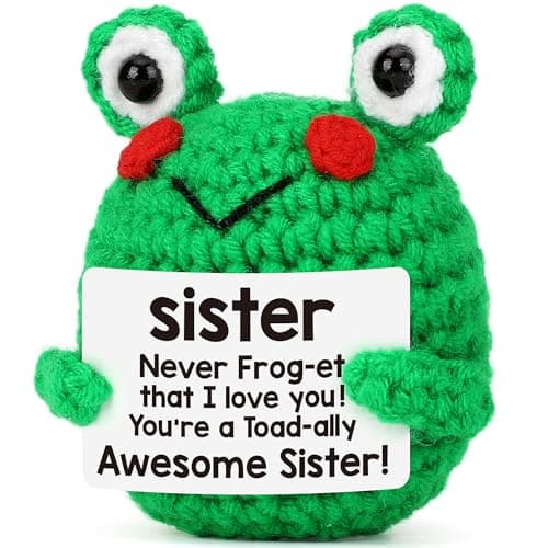 Sisters Gift from Sist-er Brother, Cute Sister Christmas Birthday Gifts