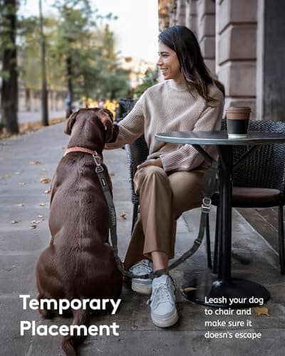 MIDOG Multifunctional Dog Leash Hands Free for Large Dogs - Adjustable Waist Leash with Zipper Pounch& Bungee Cord for Jogging/Running/Walking(4-7FT,Black) - Thumbnail 4