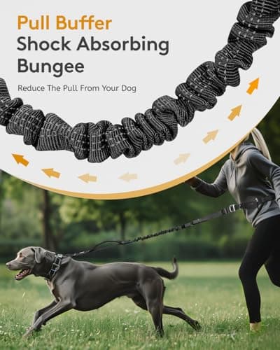 MIDOG Multifunctional Dog Leash Hands Free for Large Dogs - Adjustable Waist Leash with Zipper Pounch& Bungee Cord for Jogging/Running/Walking(4-7FT,Black) - Thumbnail 6