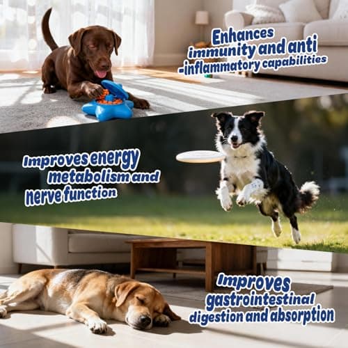 Xiderdl Dog Multivitamin with Glucosamine, Chondroitin, MSM & Probiotics – 8-in-1 Hip & Joint, Skin & Coat, Gut, Heart & Immune Health Supplement Soft Chews for Dogs – 120 Count - Thumbnail 4