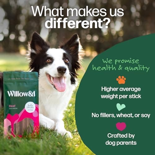 Willow & I Bully Sticks for Dogs -6 Inch Natural Bully Sticks for Medium Dogs, Small & Large- Premium 100% Grass Fed, Single Ingredient, Long Lasting, High Protein-Grain & Rawhide Free (6", 25 Pack) - Thumbnail 2