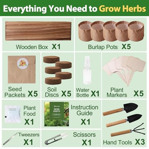 5 Herb Garden Planter Indoor with Wooden Box, Home Kitchen Seed Starter Kit Including Dill, Cilantro, Oregano, Sage, Chives, Birthday, Mothers Day, House Warming, Gardening Gifts for Women, Mom - Thumbnail 5