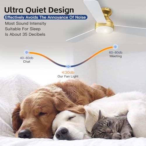 Ceiling Fans with Lights, 42 Inch Ceiling Fan with Light And Remote, 3CCT Flush Moun Low Profile Ceiling Fans, 6 Speed Noiseless LED Ceiling Fan, Advanced Gold Ceilings Fan for Bedroom Living Room - Thumbnail 5