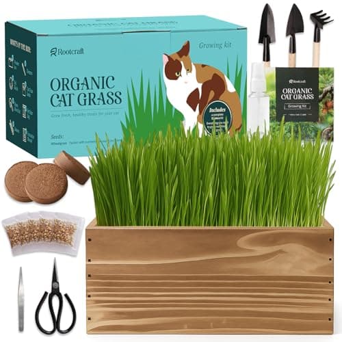 5-Pack Cat Grass Kit for Indoor Cats with Wood Planter, Grow Organic Non-GMO Wheat Grass in 4-7 Days, Aids Digestion & Hairball Control, Ideal Birthday Gift for Cat Lovers - Image 1