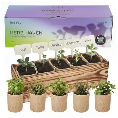 5 Herb Garden Kit with Wooden Box - Including Basil, Thyme, Parsley, Rosemary, Mint - Windowsill Herb Garden for Kitchen, Gardening Gifts for Mom Women, Men, Gift Ideas for Birthday, Housewarming - Image 1