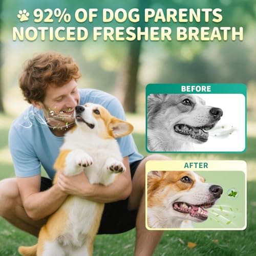 POPPAW Dog Dental Powder – Teeth Cleaning Powder with 6B CFU Probiotics, Enzymes & Antioxidants, Plaque & Tartar Off, Fresh Breath Support, 75 Days, Mint Chicken Flavor, No Brushing Oral Care - Thumbnail 4