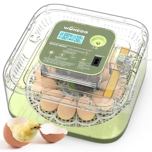 12 Egg Incubator with Automatic Egg Turning and Humidity Control, LED Egg Candling Light, Customized Incubation Days, Incubators for Hatching Eggs, Chicken Quail Parrot Pigeon Birds, Green - Image 1