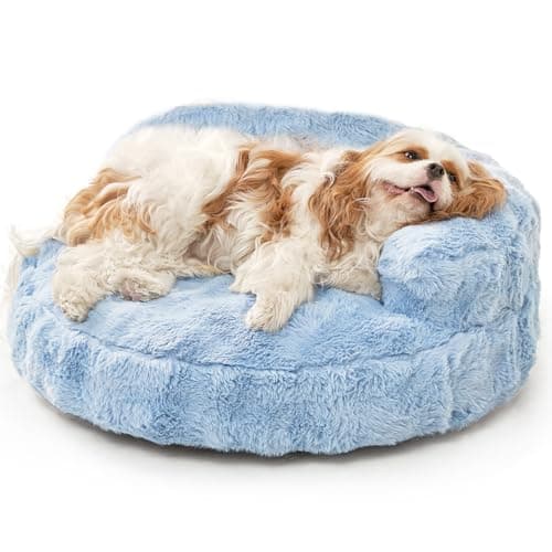EHEYCIGA Soft Cat Couch Bed for Indoor Cats, Fluffy Small Dog Bed with Removable Washable Cover, Bolster Pet Sofa, Waterproof and Non-Slip, 26" x 26"x 8", Blue - Image 1