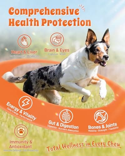 PAWAURA 24-in-1 Multivitamin Dog Supplement, 150 Soft Chews – Glucosamine & Chondroitin for Joint Support, Probiotics for Gut Health, Omega Fish Oil for Skin & Coat, Daily Dog Vitamins - Thumbnail 3