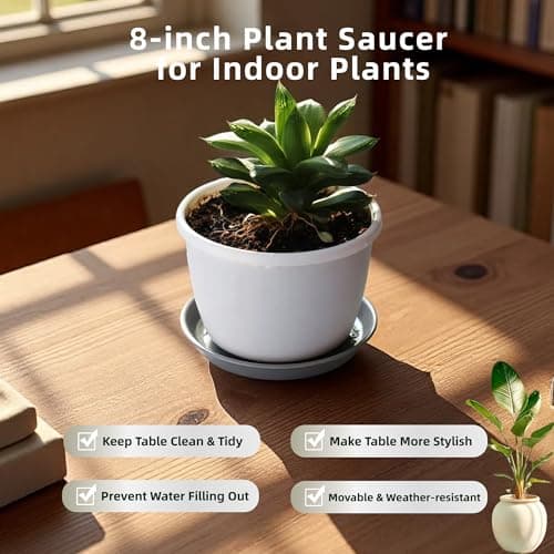 Garrdeen 6 Pack 8-Inch Gray Plant Saucer Trays, Durable PP Plastic Pot Bases for Small Medium Planters, Modern Round Flower Pot Water Catcher Plates & Drip Trays for Indoor Plant Care - Thumbnail 3