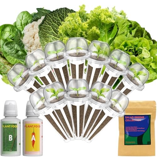 Lyko Heirloom Salad Greens Seed Pod Kit for AeroGarden, iDoo, Ahopegarden, GARDENCUBE, 12 Pods with American Fast/Paris Island/Buttercrunch Lettuce, Spinach, Swiss Chard, Cauliflower, Wild Cabbage - Image 1