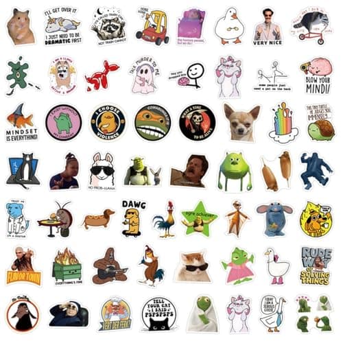 55Pcs Meme Stickers Pack, Waterproof Vinyl Decals for Laptop, Water Bottle, Phone, Kindle, Journal, Scrapbook, Bumper, Skateboard, Luggage, No Repeats (54) - Image 1