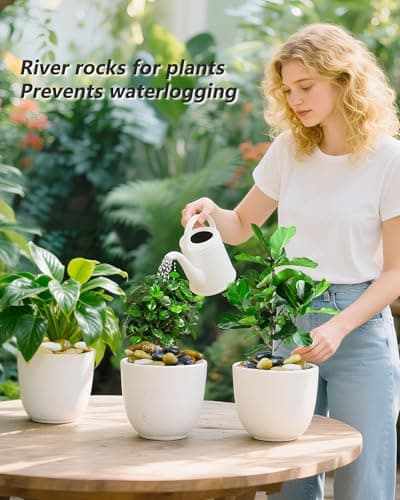 Garrdeen 5LB Polished Mixed River Rocks, Natural Decorative Stones for Indoor Outdoor Plants, Succulents, Vases, Fish Tank, Garden Landscaping & Top Dressing Pebbles 1-2.2Inch - Thumbnail 6