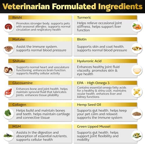 Life4Legs - Hip and Joint Chews for Dogs Plus Skin and Coat Supplement - Dog Joint Pain Relief Treats - Glucosamine, Chondroitin, MSM, Hemp Oil, Turmeric, Omega 3 for Dogs, Mobility Bites Dog Health - Thumbnail 6