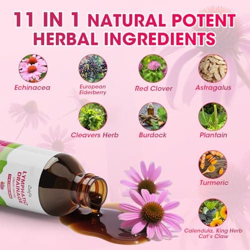 Lymphatic Drainage Supplements Drops for Immune, Lymph System Support, Cleanse & Detox, Liver Health with Echinacea,Elderberry,Cleavers Herb,Burdock, Calendula, Non-GMO, Raspberry Flavor, 2 Fl Oz - Thumbnail 3