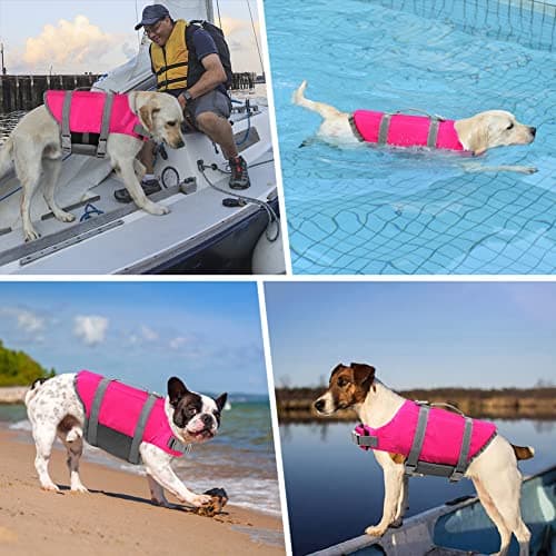 Doglay Dog Life Jacket, Dog Life Vest for Swimming Boating, Adjustable Puppy Life Jacket with Reflective Stripes, Superior Buoyancy Dog Swimming Vest for Small Medium and Large Dogs - Thumbnail 2