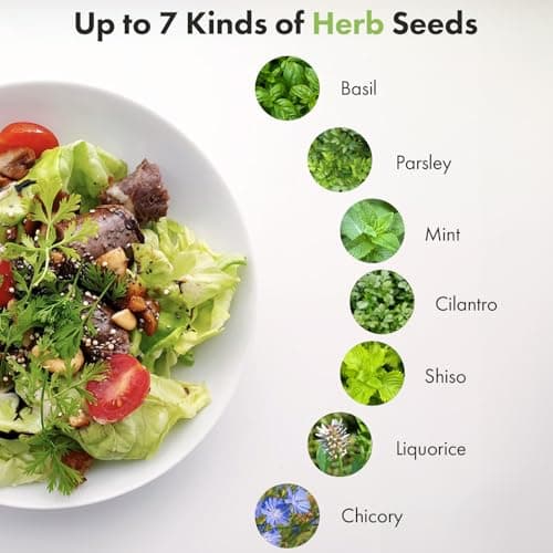 Lyko Gourmet Herb Seed Pod Kit for AeroGarden, iDoo, Ahopegarden, GARDENCUBE, 12 Pods with Basil, Parsley, Mint, Cilantro, Licorice, Hydroponics Growing System Kits for Indoor Garden - Thumbnail 3