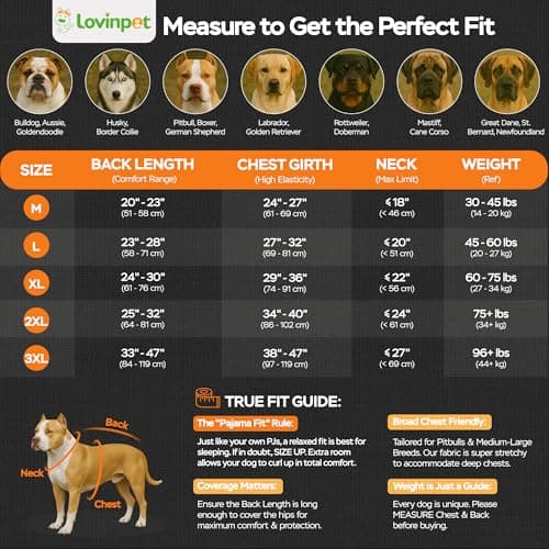 LovinPet Large Dog Christmas Pajamas - Christmas Outfit Xmas Holiday Costume for Dogs, Lightweight Pullover, A Gnome to FA La Navy Prints Large Dog PJ's Pitbull Clothes, 2XL - Thumbnail 2