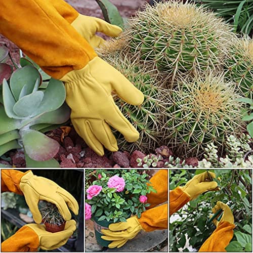 Gardening Gloves for Men&Women, [2024 Updated] Professional Rose Pruning Gloves Thorn Proof, Adjustable Cuff, Breathable Leather Cowhide Long Garden Gloves,Garden Gifts & Tools for Gardener,Yard Work - Thumbnail 3