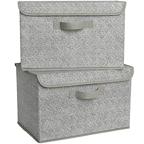 GRANNY SAYS Closet Storage Bins, Storage Boxes with Lids, Clothes Organizing Bins, Lidded Baskets for Toys, Clothing, Gray, Extra Large, 2-Pack - Image 1