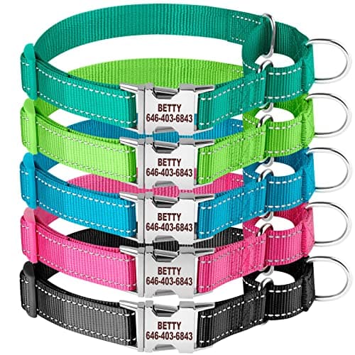 Personalized Martingale Dog Collar-Reflective Martingale Collars with Buckle, Custom Training Martingale Dog Collars Embroidered with Name and Phone Number for Small Medium Large Dogs