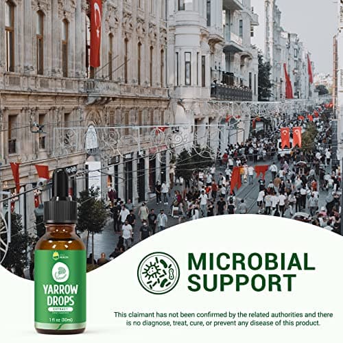 Yarrow Herb Tincture, Organic Yarrow Extract Liquid, GMP Certified, 98% Absorption, Non-GMO, Vegan, Gluten Free, Alcohol Free- 1 Fl Oz - Thumbnail 4