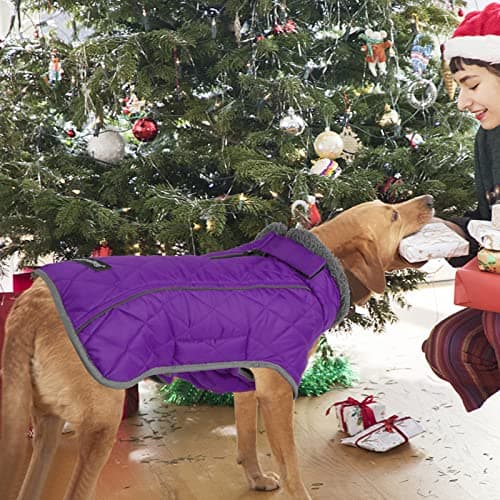Fragralley Dog Coat Large, Waterproof Dog Jacket with Warm Fleece Lining, Adjustable Reflective Dogs Winter Coat, Turtleneck Pet Coats for Cold Weather (Purple L) - Thumbnail 2
