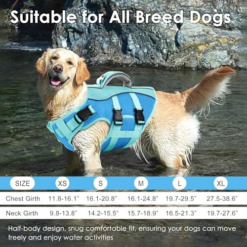 Petglad Dog Life Jacket, High Buoyancy Dog Life Vest with Handle for Swimming Boating, Adjustable Swimming Vest with Reflective Trim for Small Medium Large Dogs - Blue, XL - Thumbnail 6