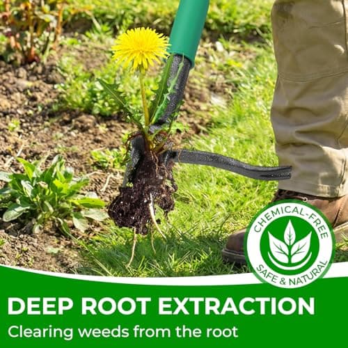 Allsetool Weed Puller Tool with 2 Weed Eject Feature, 43.7in Stand Up Dandelion Remover Tool, Real Bamboo Handle and Metal 4 Claw & Foot Pedal, Heavy Duty Garden Weeder - Thumbnail 4