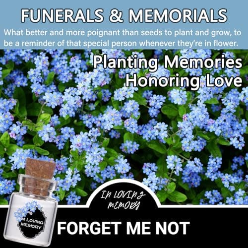 Qpige Bulk 50 Funeral Favors, Personalized Empty Engraved Glass Bottles for Funeral Wake Celebration of Life Decorations, In Loving Memory of Loved One Memorial Gifts, No Seed (Flower Card) - Thumbnail 5